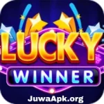 Lucky Winner 777 APK