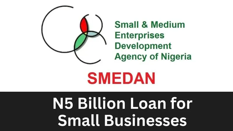 CBN Loan 2024 Requirements Guidelines - N500M to 50 million